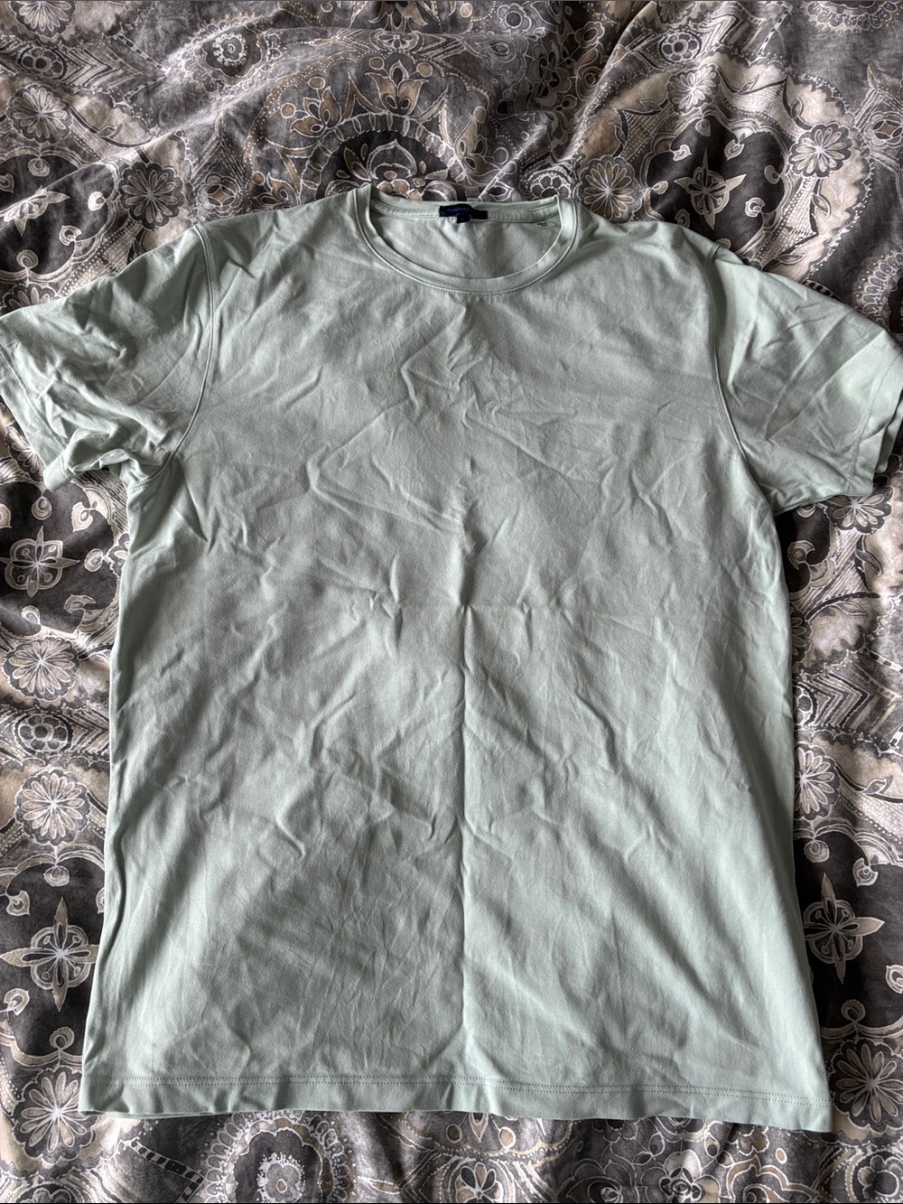 Patrick Assaraf Pima Cotton Short Sleeve Crewneck Tee in Light Green